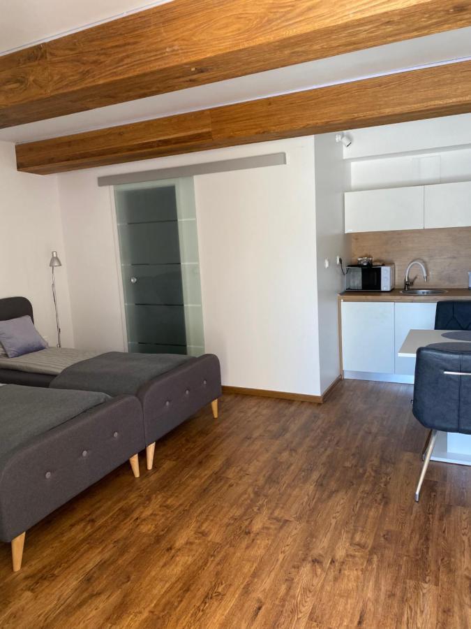 Maximo Apartments - Free Parking Maribor Luaran gambar